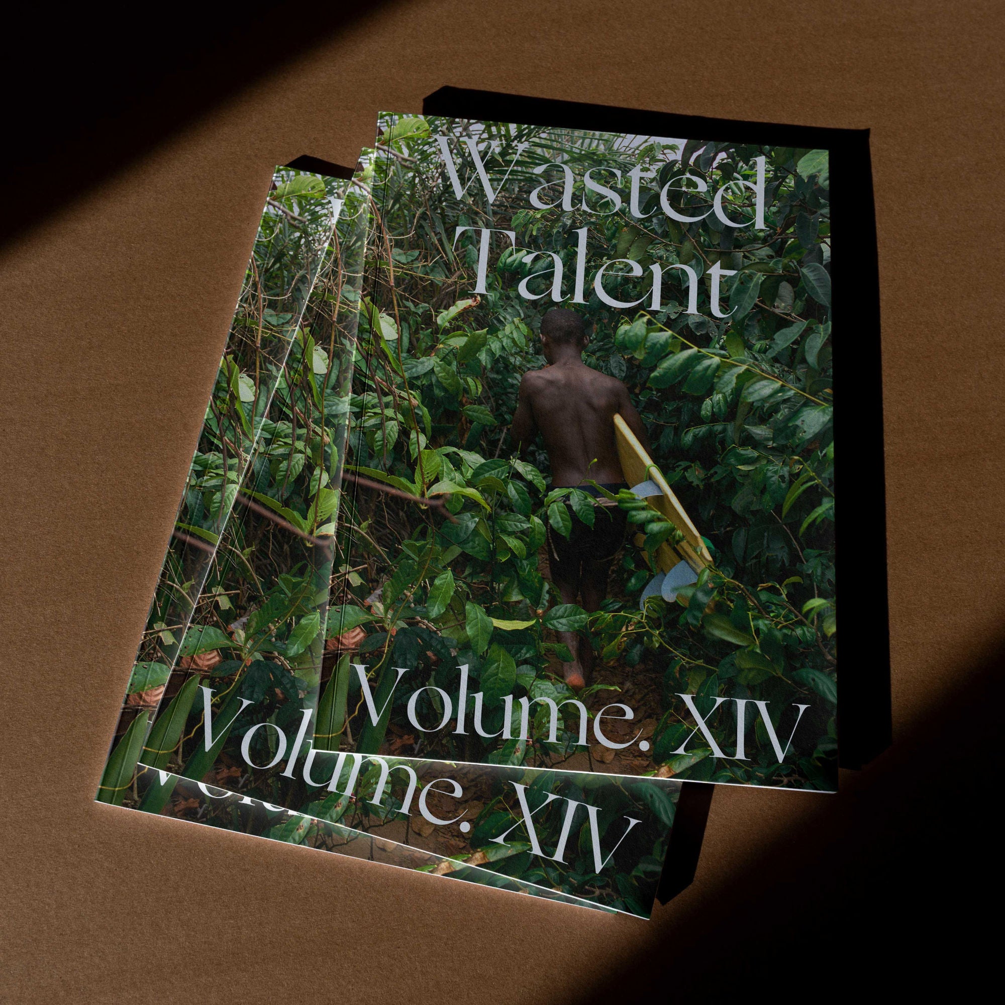 FREE Wasted Talent Magazine Vol XIV