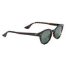 Epøkhe Coil Sunglasses - Dark Tortoise Polished / Green Polarised