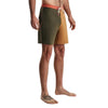 Roark Chiller Boardshorts 17"- Pignoli Brown